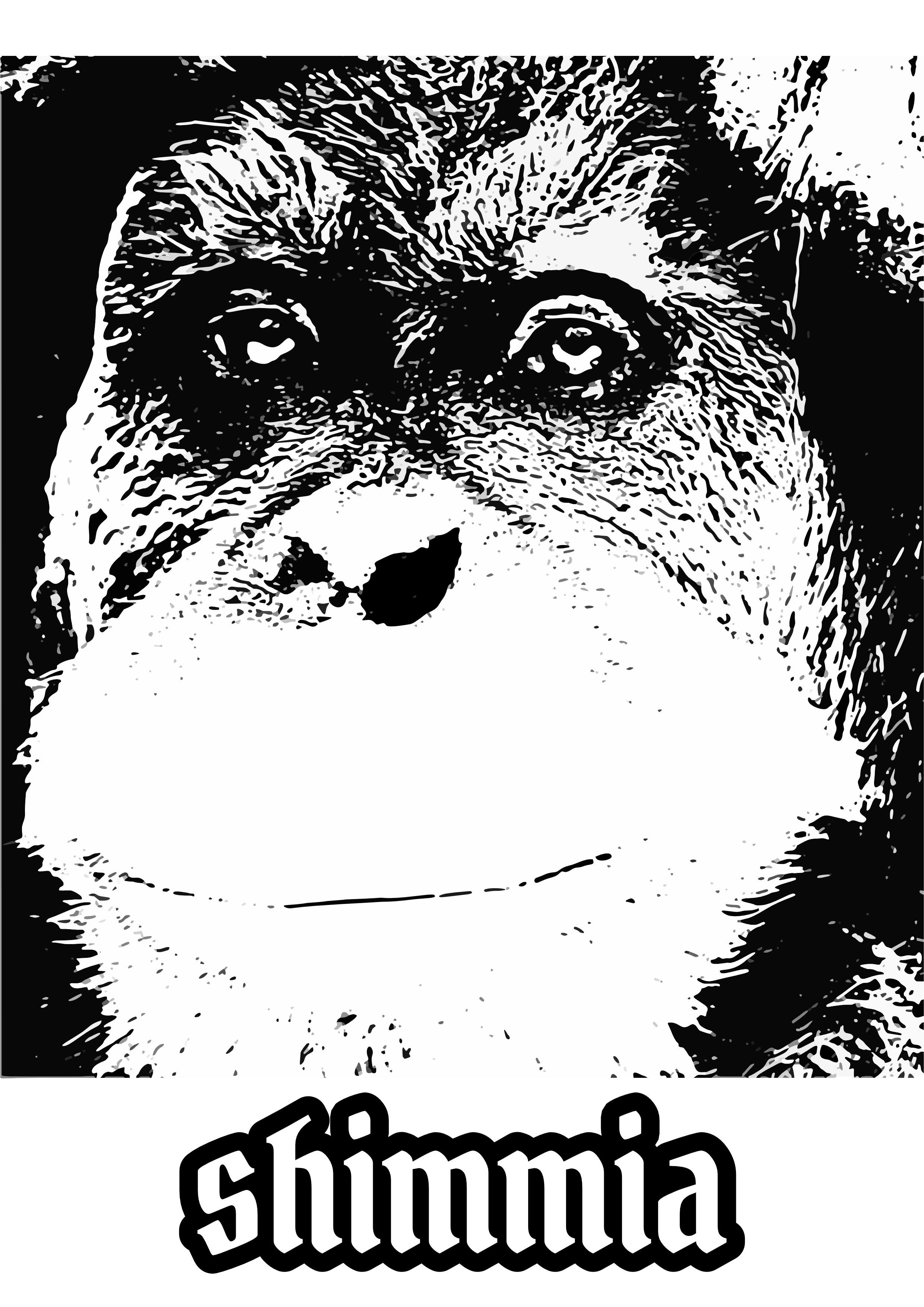 orang utan backprint premium tee